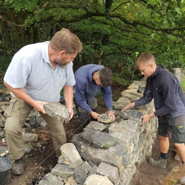 Drystone walling 3